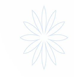 UED·(中国区) - 官网